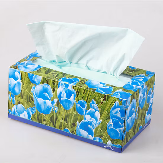 Prix ​​d'usine papier salle de bains humide boîte de mouchoirs en papier